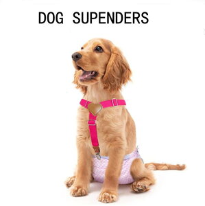 ybgpi p pc TXy_[t ނJo[ ߉\ h~ ^ ^ ^  n[lX bV ʋC U o 킢 (x2)