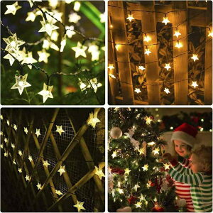 K[fCg LEDC~l[VCg ^ OƖ  gF 7m h zd 8p^[_(x500)