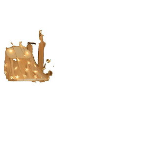 LED C~l[VCg dr NX}X fR[V  K[f  ^  C[Cg gF Jt