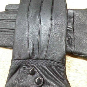  Y jp U[O[u H~p h v ϖՐ AEghA oCNp O[u (x2)