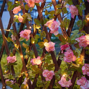 K[fCg fB[X C~l[VCg h  Ђ܂ o d LED dr  p[eB[ Cxg  gF