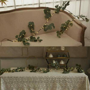 NX}Xc[ Cg [J I[u LED fR[V C~l[V d K[h tFCNO[ p[eB[ Cxg