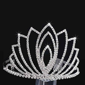 EFfBO eBA  uC_ wAANZT[  NE J`[V  \ CXg[ Vo[ F(x2)