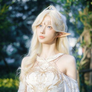 wAANZT[ fB[X uC_ANZT[ obN NE eBA ؍ EFfBO y ԐF vZX a  {앗   t [t