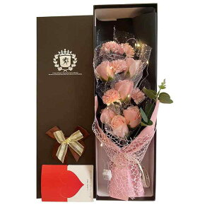 Ό KN Mtg ԑ 11{  sN Vp 蕨 a  \ o^Cf[ ̓ NX}X v[g