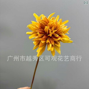 ԕr փ_A  CeA Be  p[eB[ fBXvC  e O