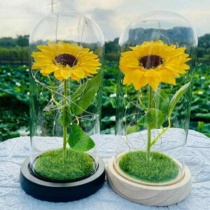 CeAG q} ỉ KXh[ LED Cg ANP[X fBXvC LOi Mtg