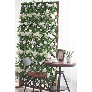  o KN VNt[ 2m  EFfBO uC_ p[eB[ Cxg ʐ^Be CeA fBXvC fR[V  zCg sN Vp