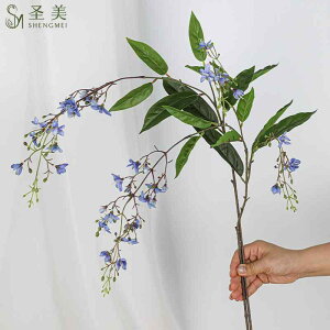  2{ Xv[} ꉺ z[fR[V V[o ʐ^Be  t[AWg EFfBO  zCg sN  bh u[  F(x2)