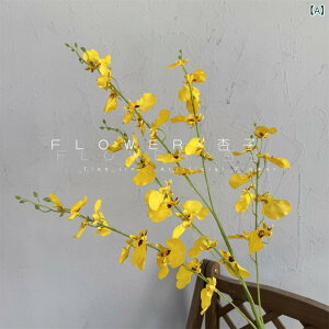  VNt[ Ӓ [sA z[fR[V EFfBO p[eB[ t[AWg F(x2)