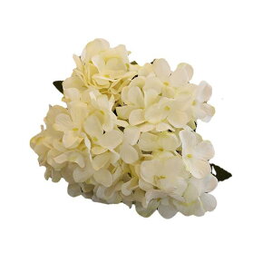  AWTC 8F u[P  g z[fR[V EFfBO p[eB[