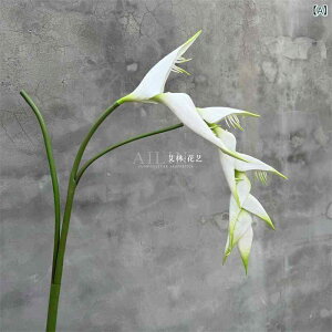  CeA lHϗtA Xg`A I[KX^ 9{ } ݂艺 ꉺ PVC  S  z[ fR[V A[g t[ AWg zCg IW sN 