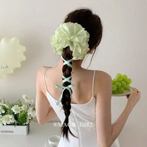 wAANZT[ fB[X wAS  VV AbvO[ 傫 { Ђ Lk ؍ 킢 