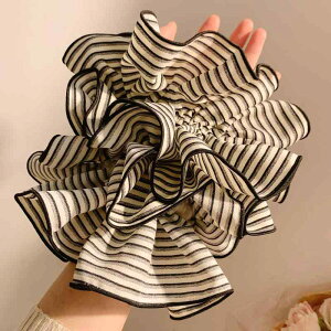 wAANZT[ fB[X ؍ XgCv VV 傫 wAS  e z ig 킢 i  ubNn