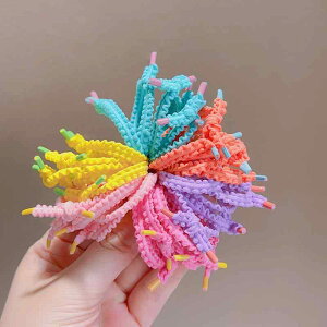 wAS LbY ̎q q pXeJ[ F e wAANZT[   킢 