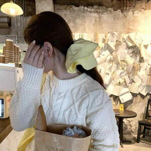 wAANZT[ fB[X wAS VV CG[n e V 킢 ig  z