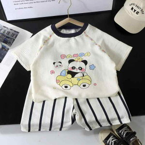 q  Zp ㉺Zbg LbY xr[  ĕ j̎q ̎q 킢 Aj}vg ڐG⊴  pW}