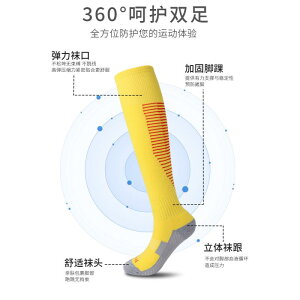 C TbJ[\bNX qp lp X|[c\bNX 7A RۖhL z ~ ʋC |GXe TbJ[ tbgT ^p C t