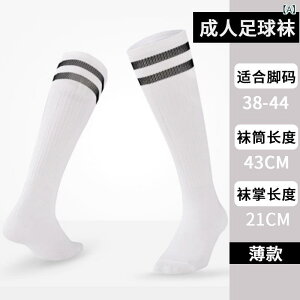 TbJ[\bNX jp q l X|[c\bNX  nC\bNX w _X \bNX ʋC z     F (x2)