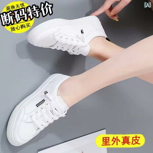 Xj[J[ fB[X ^ v Xb| [Jbg tbg\[ y ʋC h ig   t