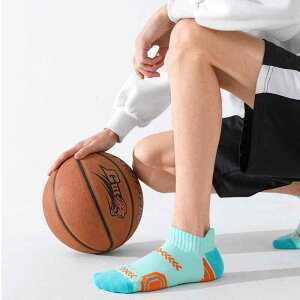 C Y jp V[g\bNX X|[c jO oXPbg{[  ^In I[V[Y z ʋC ~ 168N ^ ig F F F ΐF DF F