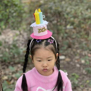 Xq wAoh p[eB[ P[L 킢 a fR[V ʐ^Be  sNn u[(x5)