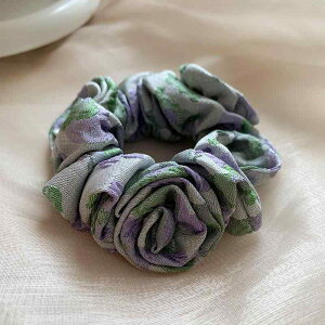 wAANZT[ fB[X G ԕ VV g wAS   ig 