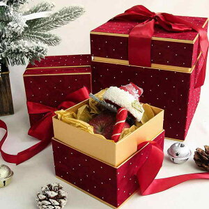 Mtg{bNX NX}X xxbg  ԕr  AWg v[g  蕨