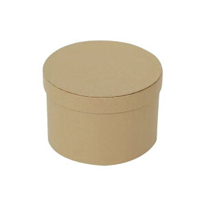 ԑ Mtg{bNX v t[AWg DIY TvCY 蕨 Cxg ̓ a j