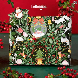 bsOy[p[ NX}X Mtg{bNX ԑ DIY  a NX}X v[g 킢 