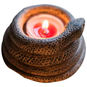 C Ct Ԋ Xl[N  Aj} IuWF CeAG K[f | o[ fBXvC(x2)