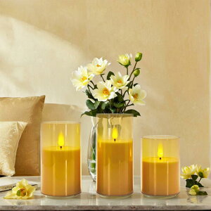 Lh LEDLhCg p[eB[ a v|[Y fR[V vX`bN ANJbv XC 낤 dq낤(x5)