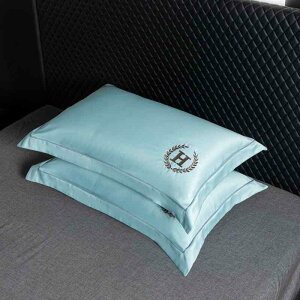 ���J�o�[ �y�A �ڐG�⊴ �ėp ���� 48×74cm �|���G�X�e�� �h? �u���[ ���n �V���v��