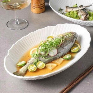 �H�� ���M �ȉ~�` �[�M ���퐻 ������ �Ԍ` �a�� ���ؕ� �z�[���p�[�e�B�[