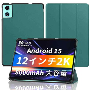 �yNSFN�zODEA A12/LUCA TM12E2W74-AZ1B �P�[�X Android15 �^�u���b�g 12�C���` 2025�N �p�P�[�X �J�o�[ �I�[�g�X���[�v�@�\ �O�܂� �X�^���h �����h�~ ���^ �ϏՌ� �ی�J�o�[ (�_�[�N�O���[��)