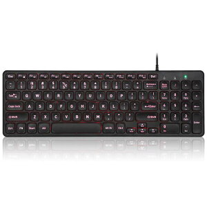 Perixx PERIBOARD-333RGB �o�b�N���C�g�L�[�{�[�h �p���^�O���t�L�[ �R���p�N�g�T�C�Y �f�J������ US�p�� �z��