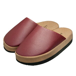 NXbp O-TYPE Sliet XGbg Or  Xbp NT_ _CGbgXbp GNTTCY Xbp fB[X VFCvAbv   zCg  킢 r p 