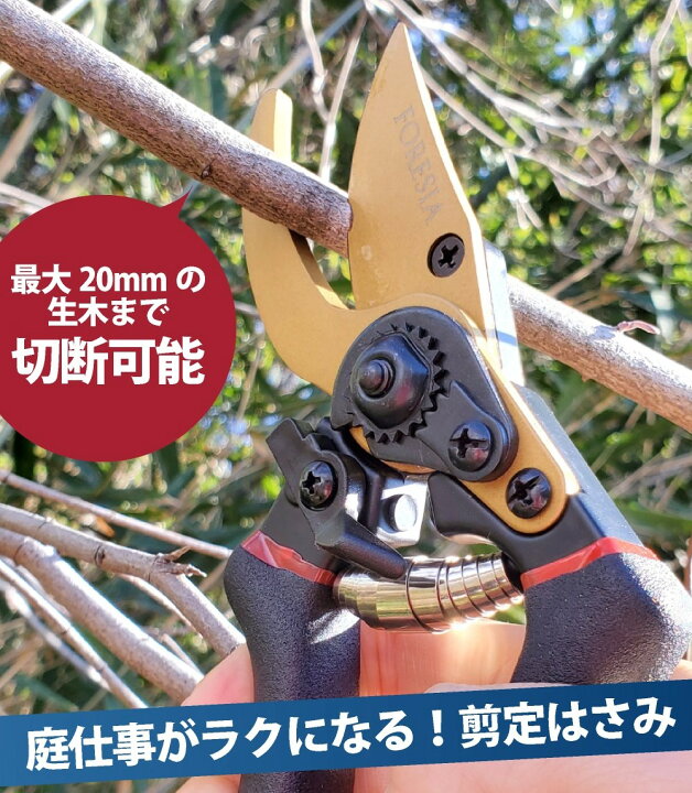 楽天市場 Foresia フォレシア 剪定ばさみ サクサク切れる 握りやすい 2段階調節可能 黒 金色 錆びにくい フッ素コーティング 剪定バサミ 剪定鋏 せんていばさみ 園芸用はさみ 枝きりばさみ 剪定はさみ ガーデニング用品 枝切りバサミ 花ばさみ 太い枝 庭木の剪定