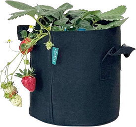 不織布プランター 2ガロン 2~5枚入り 7号 6L 黒 プランター フェルトプランター 植木鉢 6リットル 丸 軽量 軽い 園芸 壁掛け 野菜 初心者 おしゃれ 屋外 室内 玄関 ベランダ ガーデニング
