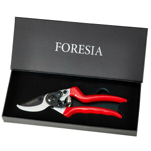 oT~ MtgBOXdli + ԁj ̃v SҌ }  }؂΂ ₷ Ă΂ tbfR[eBO FORESIA  ΂ ΂