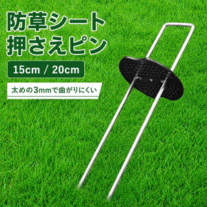 �h���V�[�g �s�� �Z�b�g �Œ� �G�� �l�H�� ������ ���| �Y �� ���� �X�`�[�� 15cm 20cm 100�{ u�� �ȒP ���b�L ��v ���� ���b�V���[ ����