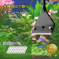 楽天市場】水槽 コケ取り クリーナー（熱帯魚・アクアリウム｜ペット 
