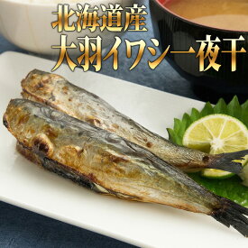 楽天市場 イワシ 大羽の通販