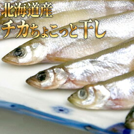 楽天市場 チカ 魚 北海道の通販