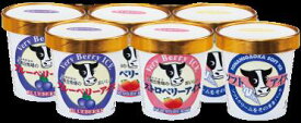 斗南丘牧場のアイスセット アイス セット ギフト (ソフト、ブルーベリー、ストロベリー) アイスギフト 詰め合わせ アイスクリーム セット 贈り物