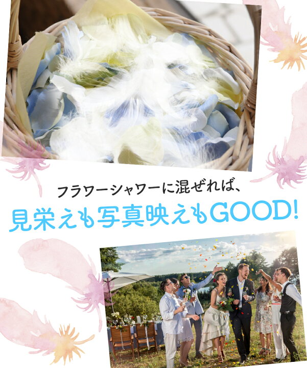 楽天市場】フェザーシャワー 白 たっぷり 300枚 羽 結婚式 パール 