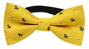 y13Yz lN^C LbY q j̎q ^b` {E^C qp tH[} lN^C XgCv  ȒP q \ a LOBe hbg {[C qǂ 3 5 7