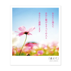 花束 500円 グリーティングカードの人気商品 通販 価格比較 価格 Com
