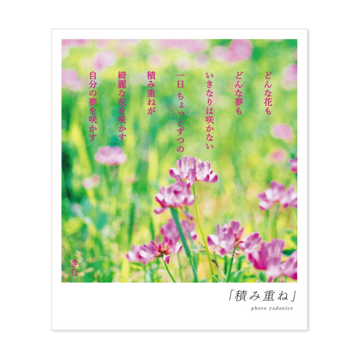 楽天市場 11日 月 1 59までポイント最大33倍 150円offクーポン 詩人きむ 言葉の花束ポストカード 積み重ね 名言 格言 詩人 言葉 ことば 夢 勇気 元気 卒業 旅立ち 感謝 教員 先生 メッセージ いろはショップオンライン