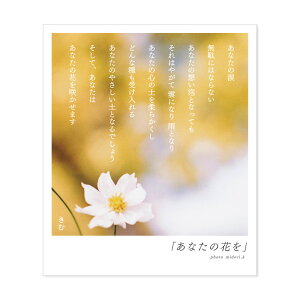 花束 500円 生活雑貨の人気商品 通販 価格比較 価格 Com